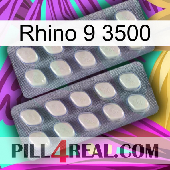 Rhino 9 3500 07.jpg